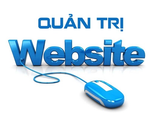 quản trị website 